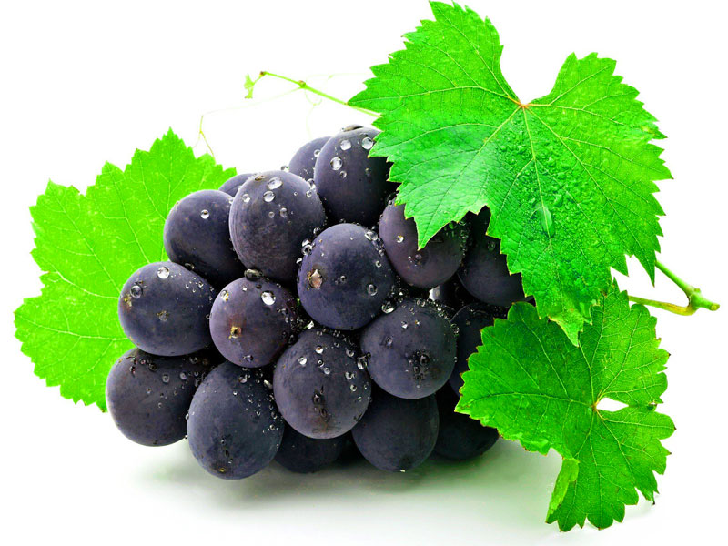 เมล็ดองุ่นสกัด (อิลาลี) (Grape Seed Extract) (Italy) Assay 98%